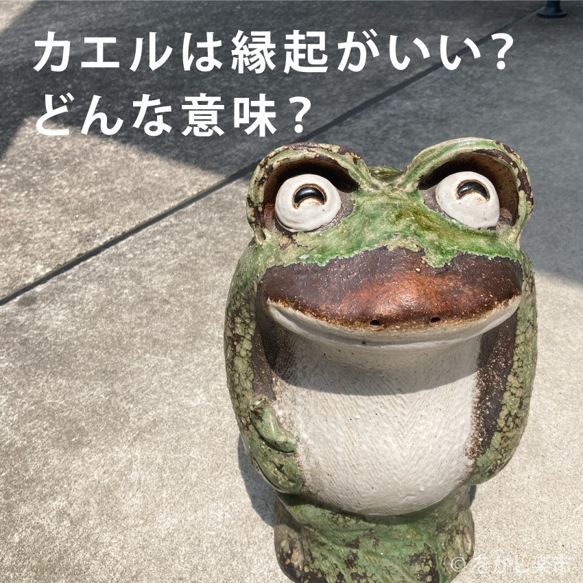 カエルは縁起がいい？ どんな意味の縁起物なのかお答えします – 【公式 
